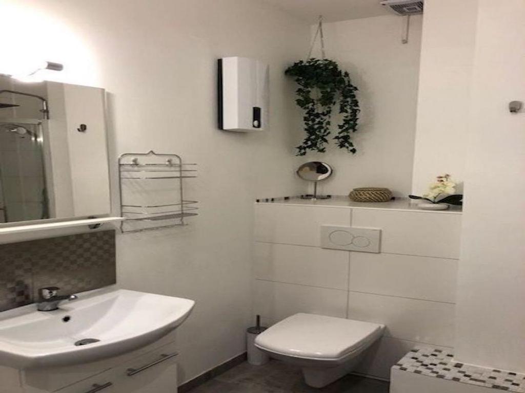 Veedel - Gemuetliche Ferienwohnung In Bester City Lage Кёльн Экстерьер фото